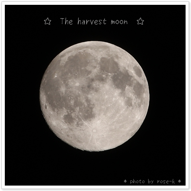 The harvest moon.jpg