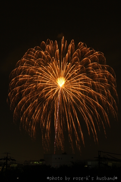 fireworks-03.jpg