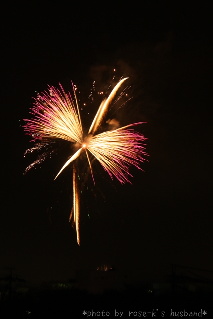 fireworks-06.jpg